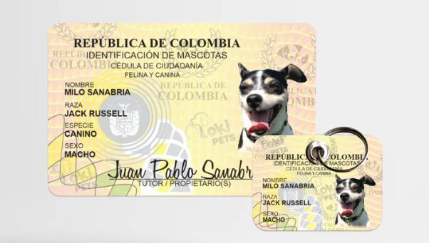 Colombia podría exigir nuevo documento obligatorio para mascotas