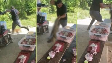 Identificado el responsable del indignante maltrato animal.