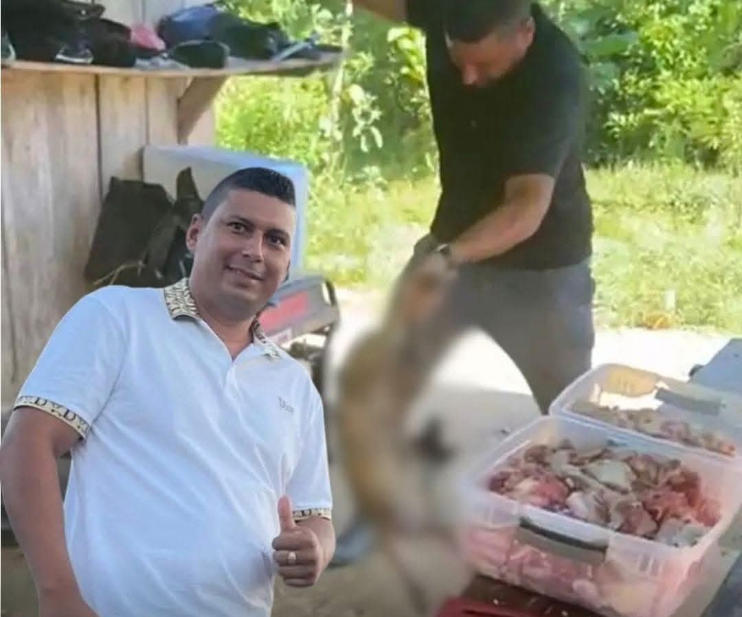 ¡Increíble! Hombre que mató a un perrito a golpes quedó en libertad por un “error geográfico”