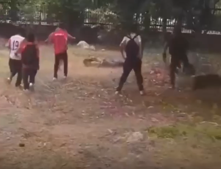 Justicia por mano propia dentro de un colegio